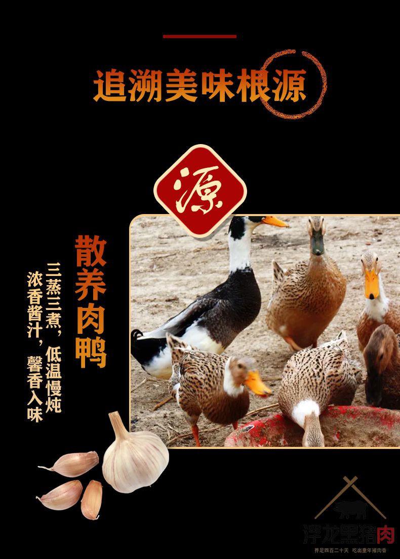 浮龙酱鸭 浮龙熟食(图3)